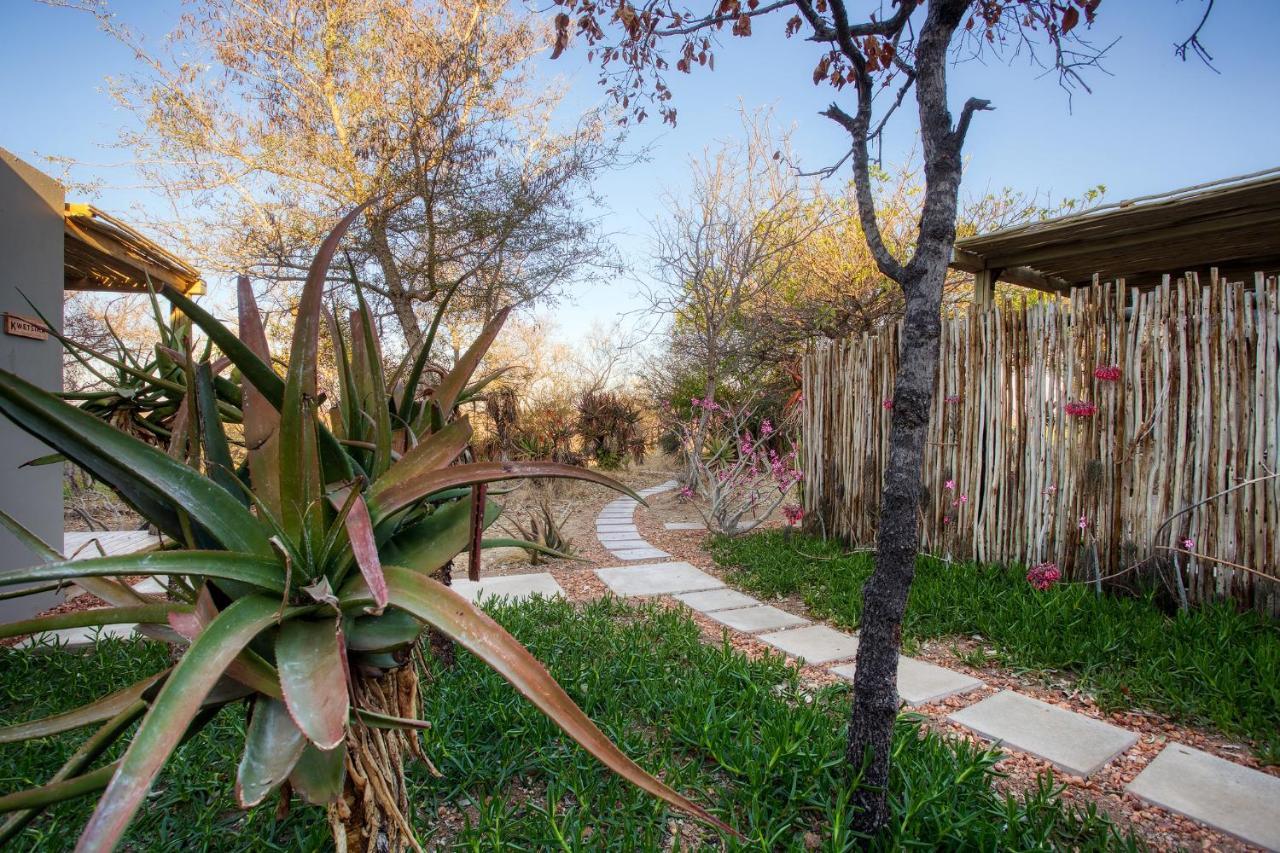 Klaserie Drift Réserve naturelle privée de Klaserie Extérieur photo